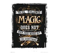 Grupo Erik Print Harry Potter Magic, Tonos Oscuros, 30x40 cm