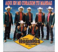 Grupo Ilegales Norteno (Aqui En Mi Corazon Tu Mandas) Rr-012