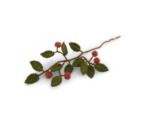 Gry & Sif Hecho a mano y certificado de comercio justo. Elegante diseño danés x Napali artesano | Ramitas con manzana de fieltro - Flores artificiales para decoración del salón