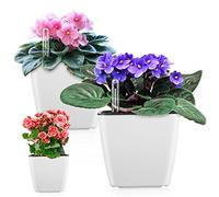 GS Garden Macetas de autorriego para plantas de interior: 12,7 cm, paquete de 3 macetas de flores y hierbas blancas de color violeta africano