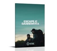 GSARUWEHRH Póster de Escape at Dannemora para pared, cubierta de lienzo, póster estético vintage, pintura decorativa para sala de estar, dormitorio, 60 x 90 cm, estilo marco