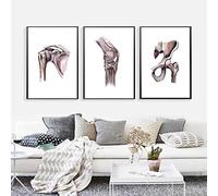 GSHRED Arte de pared de anatomía de órgano humano Impresión en lienzo Acuarela Hombro Cadera Rodilla Pintura vertebral Columna Póster Arte Regalo Decoración sin marco 40 × 50 cm × 3 piezas