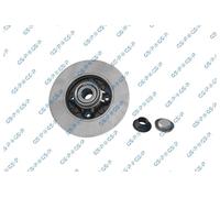 GSP 2x Disco Freno Trasero Izquierda Derecha Completo para Peugeot 308 I Citroën