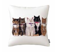 GSRONY Fundas de almohada con diseño de gatos, funda de cojín de animales de gato, decoración del hogar, funda de almohada de 18 x 18 pulgadas