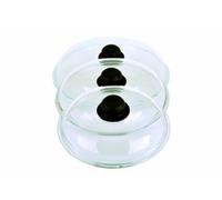 GSW 430012 - Tapa para sartenes, 28 cm