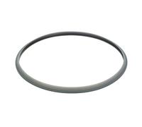 GSW 811668 Sistema Classic + Biostar Junta 22 cm, Silicona, Gris, 25 x 34 x 2,0 cm