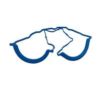 GSwReJ Junta de Bandeja de Aceite Compatible con 4. 3L GM V6 Motores Marinos Fits Modelos 27-14247T1 27-8M0185584 18-61513 2112485 3852655 856402