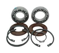 GSwReJ Kit de reparación de Eje primario Compatible con Penta V8 D30 D31 D40 D41 RO 11013 958860 181105 914533 914462 806740 V6 V8 con SP DP