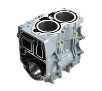 GSwReJ Motor de Bote de 2 Tiempos E40x 40HP Bloque de Cilindro del cárter 66T-15100 66T-15100-02-1S Compatible con Piezas del Motor Marino Fuera de borda
