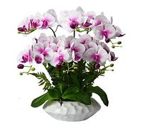 GSZCCZS 55cm Phalaenopsis Artificial con Juego de jarrón Blanco