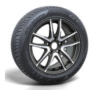 GT Radial 4 Seasons 205/50 R17 93W XL Pneumáticos de todo el año