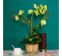 GTHTUHFD Flores Artificiales De Orquídeas Phalaenopsis En Jarrón Dorado. Decoración Exquisita para Bodas, Fiestas Y Cenas. Altura: 53 Cm (21 Pulgadas).,Green