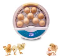 GTHTUHFD Incubadora De Huevos para Incubar, Incubadora De Huevos con Control Automático De Temperatura Y Humedad, Mini Incubadora Digital De Aves De Corral con 9 Luces Led, Probad