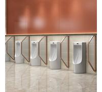 GTHTUHFD Mampara Divisoria De Vidrio Templado Dorada para Urinario, De Montaje En Pared, Ideal para Baños De Hombres, Centros Comerciales, Hoteles Y Bares - Juego De 2 Pieza,Rose Gold B-2Pcs
