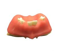 GTHTUHFD Modelo De Dientes para Implantes Dentales Modelos De Dientes Modelos De Implantes De Sutura Y Modelo De Entrenamiento De Elevación del Seno Maxilar para Educaci