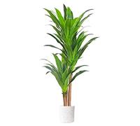 GTHTUHFD Plantas Artificiales De Interior, Árbol Tropical Artificial En Maceta, Planta Artificial para El Hogar, Jardín, Oficina, Decoración Moderna De Interior Y Exter,B-170cm