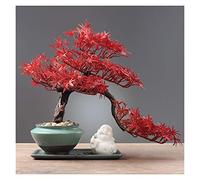 GTHTUHFD Plantas Falsas, Simulación Creativa De Plantas, Adornos En Maceta, Plantas Verdes Falsas, Bonsái De Pino, Decoración De Interiores para Sala De Estar, Escritor,H