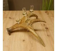 GTK - Geweihe & Trophäen KRUMHOLZ Proveedor de chupitos 4 vasos pequeños de cristal con mango en barra de alce regalo 27.60.9.3