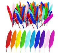GTYHH 100 Piezas De Plumas De Colores, Plumas para Manualidades, Materiales De Decoración De Bricolaje, Se Pueden Usar para Hacer Sombreros, Coles, Aretes, Etc.