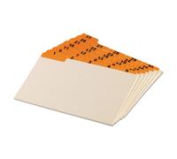 Gu as de fichas laminadas Oxford 05832 Daily 1/5 Tab Manila 5 x 8 (juego de 31)