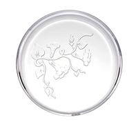 Guaber Aquarium Shrimp Feeder Dish Glass Fish for Tank Feeding Bowls Round Acrylic Feeding Bowl Clear Dish Tray Plate Aquarium Feeder