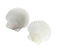 Guaber Cuaderno reflectante con forma de concha natural, blocs de notas para mentes creativas y estilos de naturaleza, carpeta de conchas