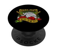 Guanajuato México Souvenir Mexican Vacation Matching Family PopSockets PopGrip Adhesivo