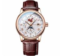 Guanqin Reloj mecánico multifuncional para hombre, estilo vintage, automático, con zafiro, calendario de negocios, semana luminosa, fase lunar, resistente al agua, reloj de pulsera de acero inoxidable