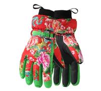 Guantes de esquí impermeables de invierno, guantes de esquí y snowboard | Guantes cálidos de invierno para pantalla táctil Snow,Guantes impermeables con aislamiento térmico para pantalla táctil para