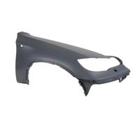 Guardabarros Delante Derecho Plástico Con Agujero Intermitente para BMW X6 E71