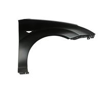 Guardabarros Delante Derecho Se Adapta A: Ford Focus 10.98-11.04