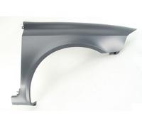 Guardabarros Delante Derecho Se Adapta A: Renault Laguna II 04.05-10.07