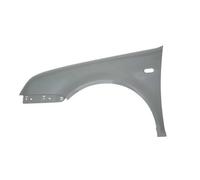 Guardabarros Delantero Izquierdo Con Hueco Para VW Bora 1J2 1J6