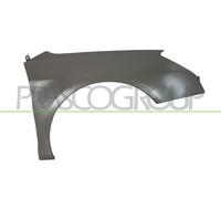 Guardabarros Eje Delantero Derecho Para Citroën C5 III Break TD RW RD