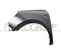 PRASCO RN3323014 Guardabarros Delante, izquierda Compatible con RENAULT Clio 5 Hatchback BF, B7