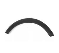 Guardabarros para Mini para Cooper R50 R52 R53 2002-2008, Moldura del Guardabarros Trasero Izquierdo/Derecho, Traseros 51131505868 51131505869 Mud Flaps(Right Side)