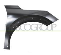 Guardabarros PG3303013 PRASCO Para PEUGEOT