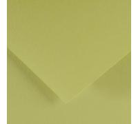 Guarro 400080165 - Cartulina, 50 x 65 cm, color kiwi