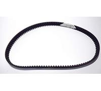 Guasti Srl Piaggio 493070 Correa De Distribución