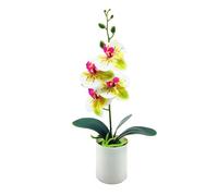 Gucagle Phalaenopsis Orquídea Bonsai Adornos Realistas Exquisitas Flores Artificiales Hechas a Mano Decoración para Sala de Estar Oficina Estudio PVC PP Material Plástico 110g (Verde Blanco)
