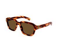 Gucci Hombre GG1508S 002 Gafas de sol Acetato la Habana Marrón Cuadrada