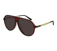 Gucci Hombre Gafas de Sol Havana Marrón Borde Completo Acetato Marco