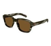 Gucci Hombre GG1508S 003 Gafas de sol Acetato la Habana Marrón Cuadrada