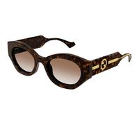 Gucci Mujer GG1553S 002 Gafas de sol Inyectado la Habana Marrón Redonda