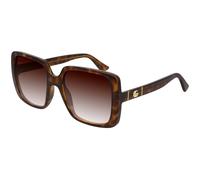 Gucci Mujer Gucci GG0632S 002 Gafas de sol Inyectado la Habana Marrón Cuadrada Normal Sombreado