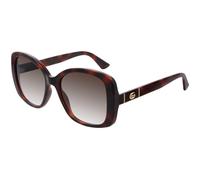 Gucci Mujer Gucci GG0762S 002 Gafas de sol Inyectado la Habana Marrón Cuadrada Normal Sombreado
