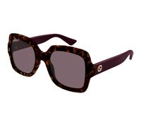 Gucci Mujer Gucci GG1337S 009 Gafas de sol Inyectado la Habana Violeta Cuadrada