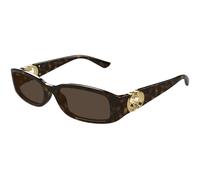Gucci Mujer Gucci GG1661S 002 Gafas de sol Inyectado la Habana Marrón Cuadrada