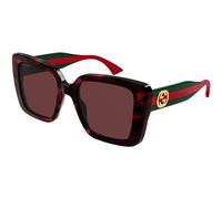 Gucci Mujer Gucci GG1861S 003 Gafas de sol Acetato la Habana Rojo Cuadrada