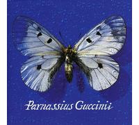 Guccini Francesco - Parnassius Guccinii